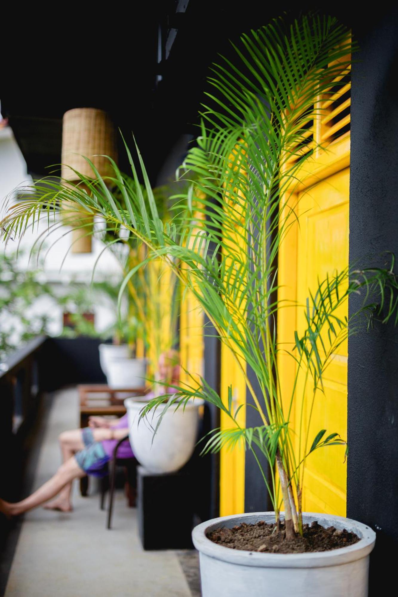 Sugar Hostel Weligama - Coliving & Coworking Exterior foto